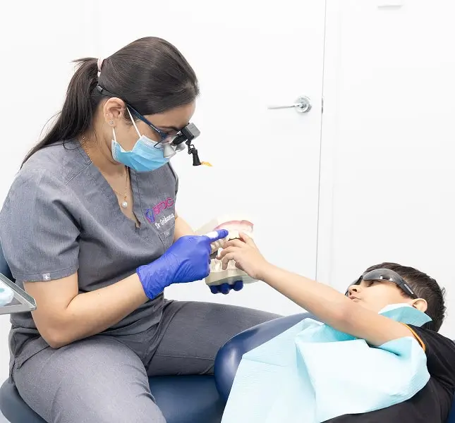 dr grishma child dental model checkup