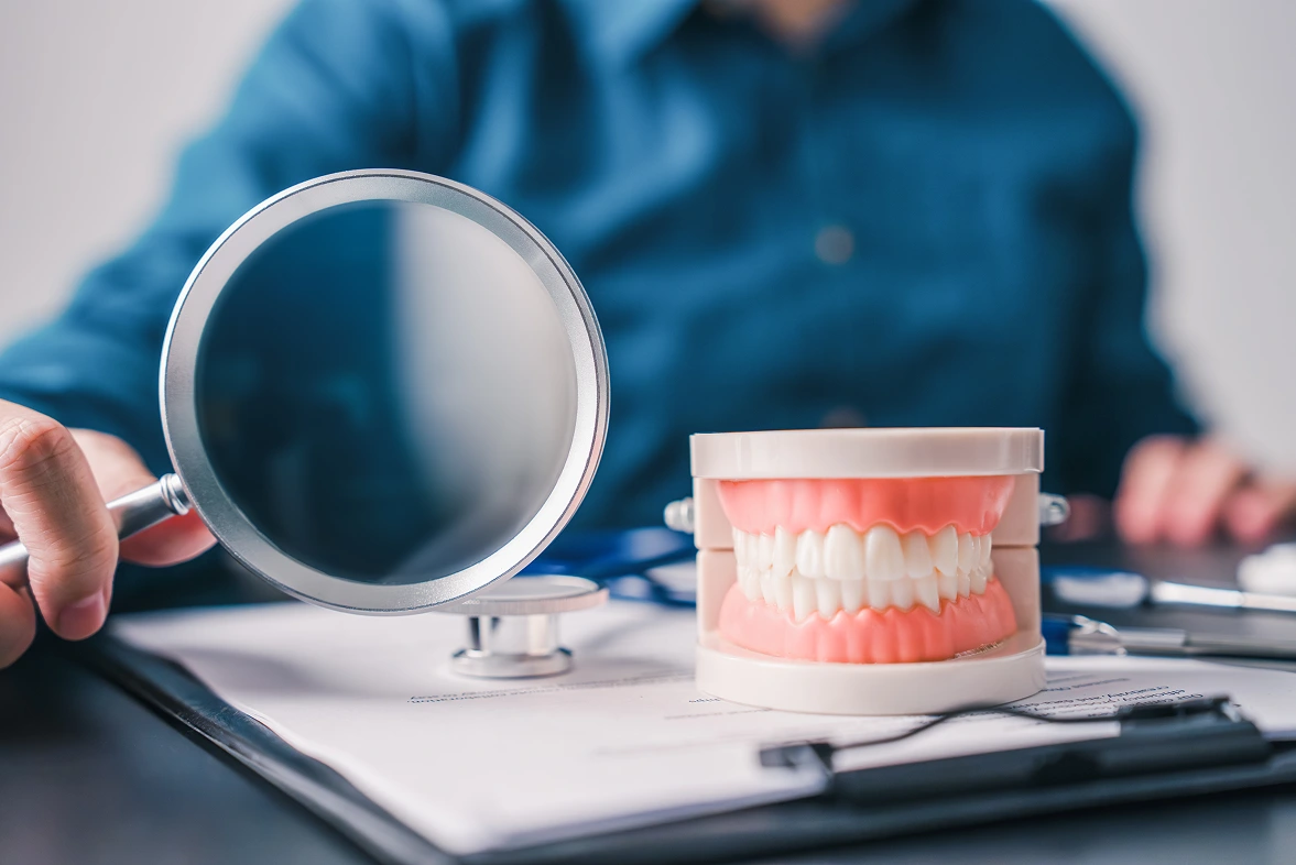 dental model magnifying glass